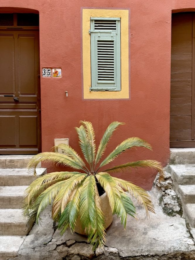 Liten palm i kruka framför en terrakottafärgad fasad