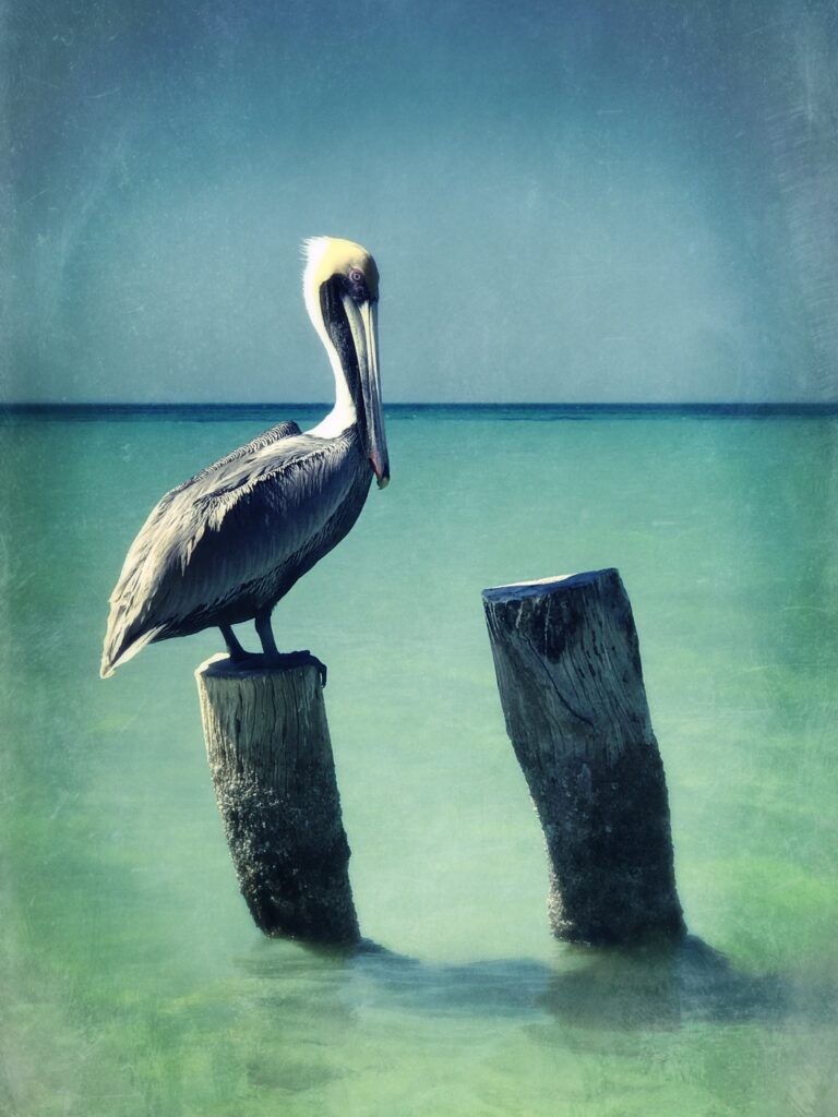 20-årsbloggileum och bröllopsdag